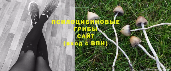 таблы Абаза