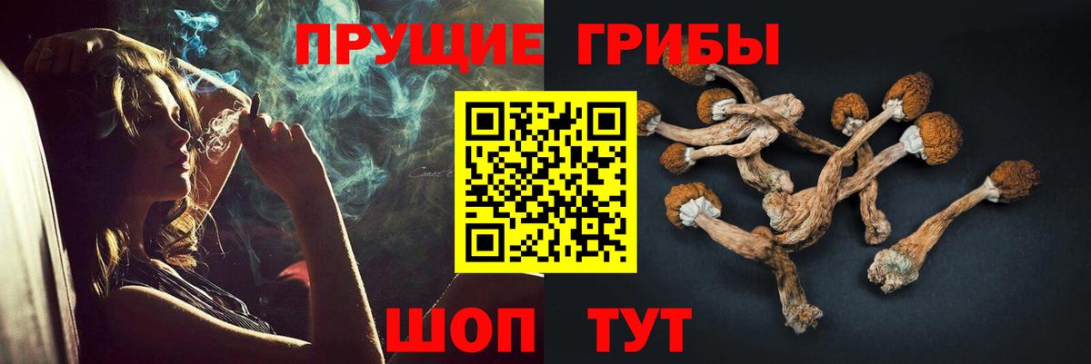 Галлюциногенные грибы Cubensis Тихорецк